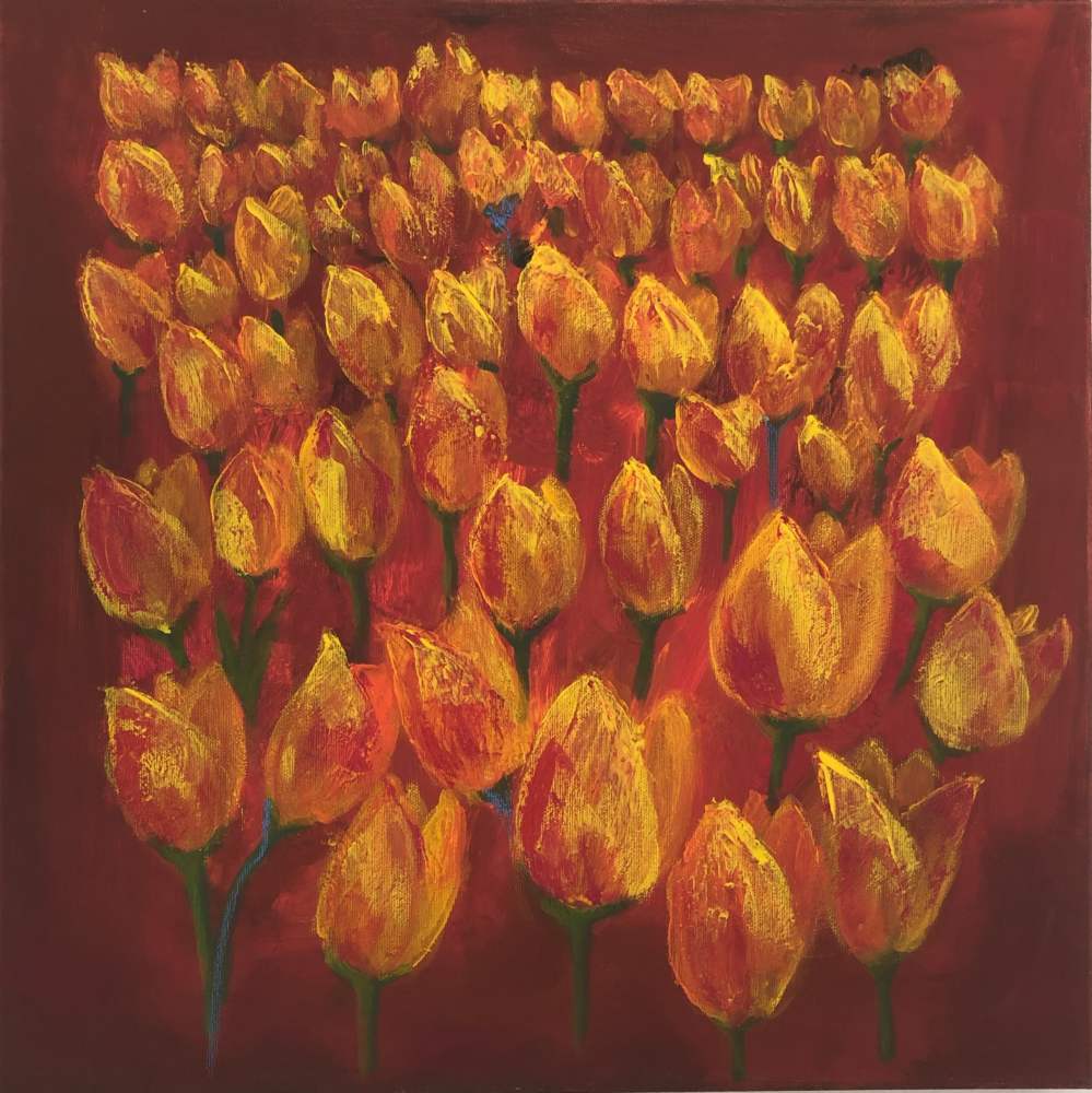 Tulipes 1